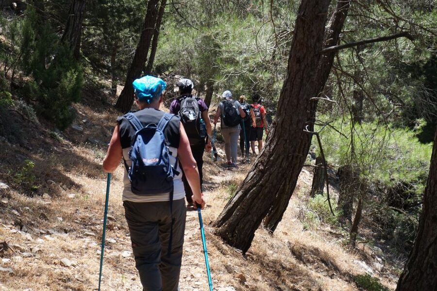 Rhodes: Hiking Tour to the Summit of Akramitis with Photos - Starting in Monolithos beneath the cypress trees