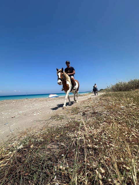 Rhodes: Horseback Riding Trip with Digital Photos - A gentle way to see Rhodes beyond the resort