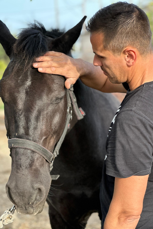 Rhodes: Horseback Riding Trip with Digital Photos - Why the horses matter here