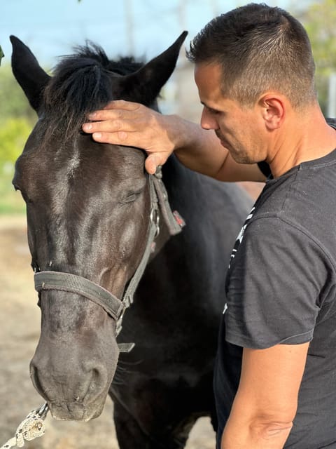 Rhodes: Horseback Riding Trip with Digital Photos - Small groups make a real difference