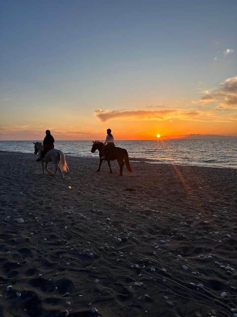 Rhodes: Horseback Riding Trip with Digital Photos - Choose morning olive trees or an evening by the sea