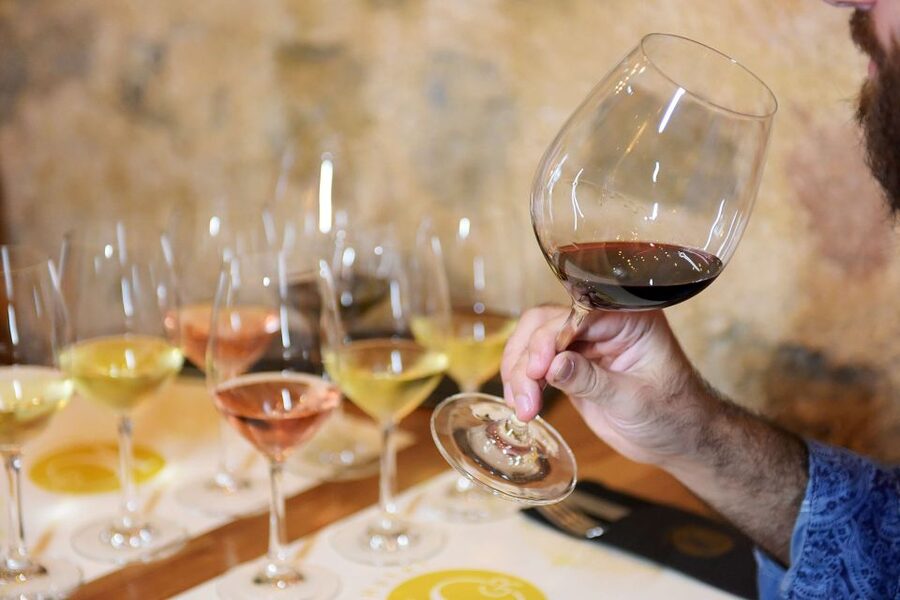 Rhodes: Private Wine Tasting Experience for Beginners - Three Greek wines: white, red, and rosé