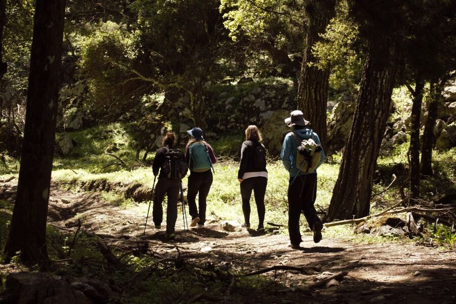 Rhodes: Profitis Ilias Guided Sunset Hike - Sunset from the mountain, then a headlamp walk down