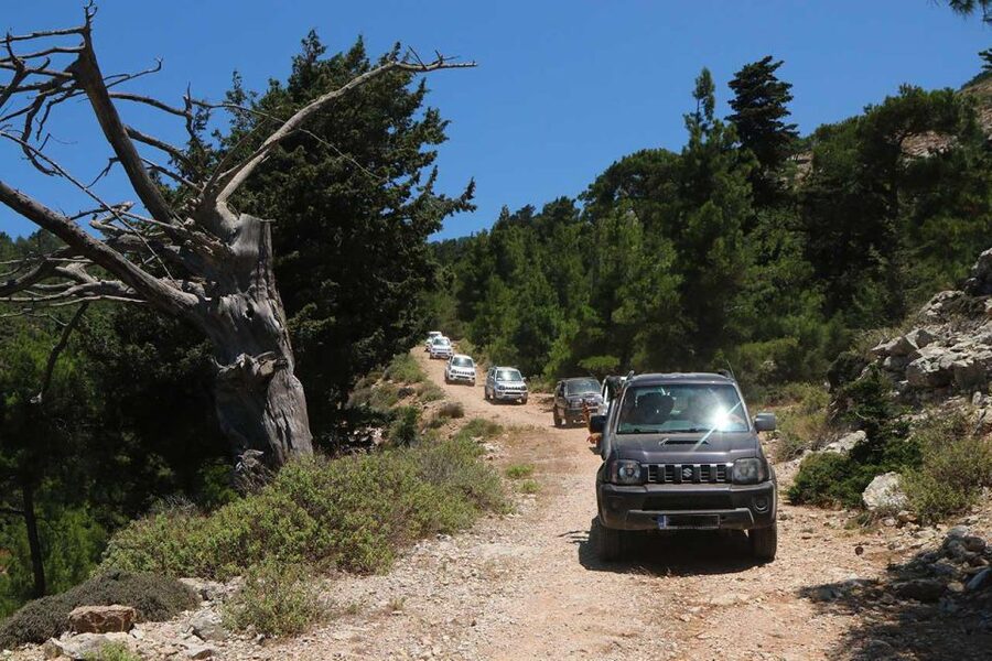 Rhodes: Self-Drive 4x4 Safari Tour with North Pickup - What driving your own 4x4 really involves