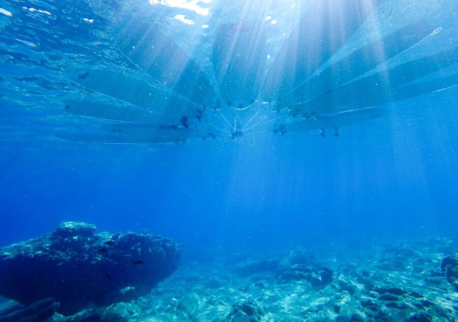 Rhodes: Stand-Up Paddleboard and Snorkeling Tour - What the $100 price really includes