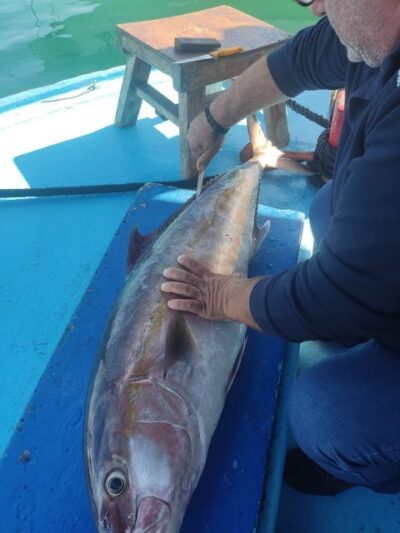 Fishing Boat Trip with Fish Meal and Swim Stops