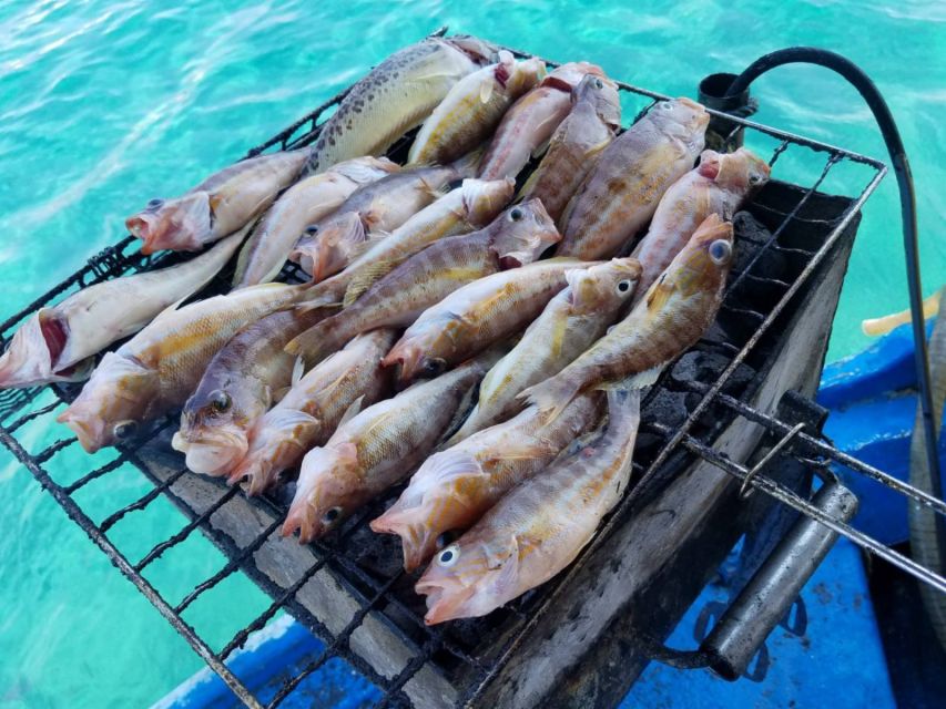 Rhodes Town: Fishing Boat Trip with Fish Meal and Swim Stops - A secluded cove for swimming and snorkeling