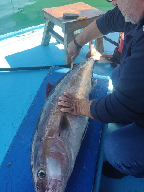 Rhodes Town: Fishing Boat Trip with Fish Meal and Swim Stops - Fishing lessons for complete beginners