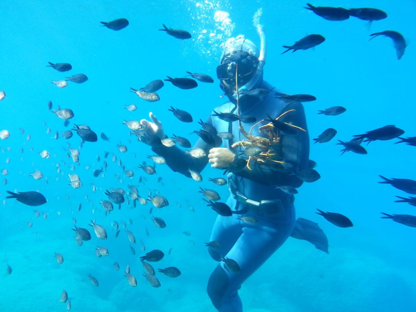 Rhodes Town: Yellow Submarine Cruise with Underwater Views - What the Yellow Submarine really is