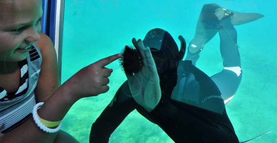 Rhodes Town: Yellow Submarine Cruise with Underwater Views - Mandraki Harbour sets the scene