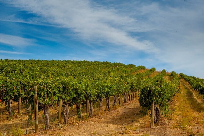 Rhodes Wine & Food Tour: 10 Meal Course Lunch, Wine Tasting, Cooking Class - How much time should you allow?
