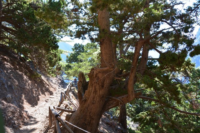Samaria Gorge Hike - Starting the 16 kilometer walk