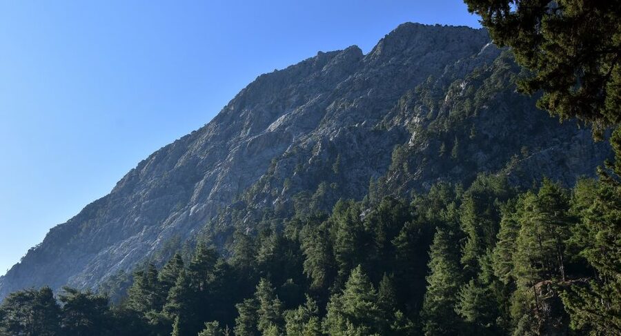 Samariá Gorge Hike: Day Excursion from Chania - Walking the full 18 kilometers
