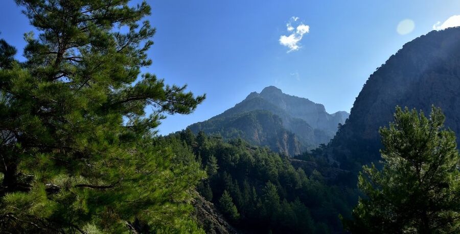 Samariá Gorge Hike: Day Excursion from Chania - What the $47 price really covers