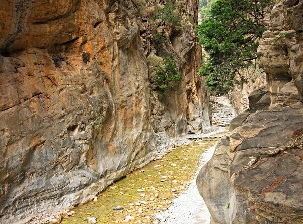 Samaria Gorge Hiking from Chania with Professional Hiking Guide - Agia Roumeli: Food, Swimming, and Recovery