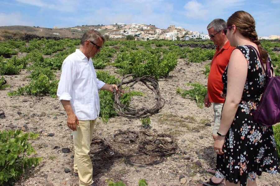 Santorini: 5-Hour Private Wine Tour - Santo Wines pairs wine with the caldera
