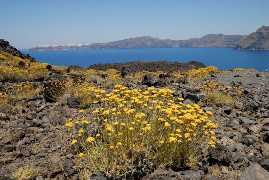Santorini Caldera: Sunset Cruise with Dinner - How comfortable is the boat and group?
