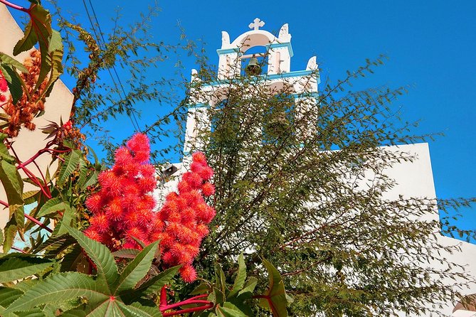 Santorini Day Tour with Sunset in Oia - Oia sunset: beautiful, busy, and easy to mishandle