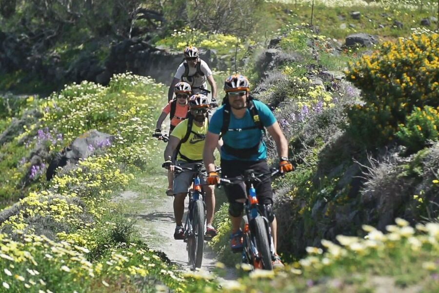 Santorini: Electric Mountain Bike Adventure - Megalochori, vineyard roads, and a glass of local wine
