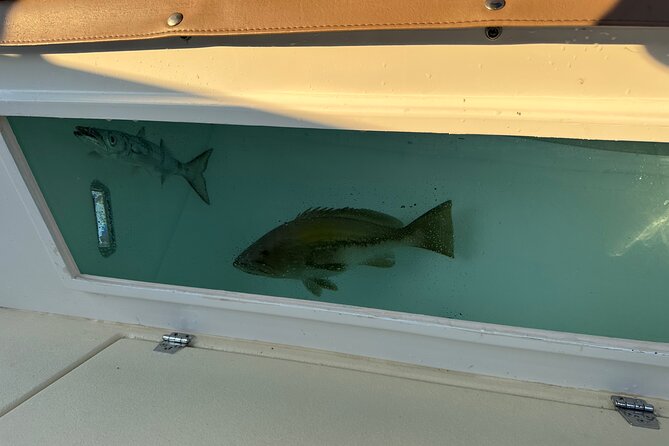 Santorini Fishing Private Cruise boat tour - BBQ, Snorkeling - Stories, island history, and the view from sea level