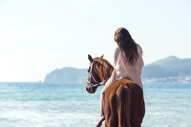 Santorini Horse Riding to Black Sandy Beach - Key details before you book