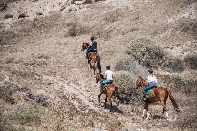 Santorini Horse Riding to Black Sandy Beach - Why the guides matter for beginners