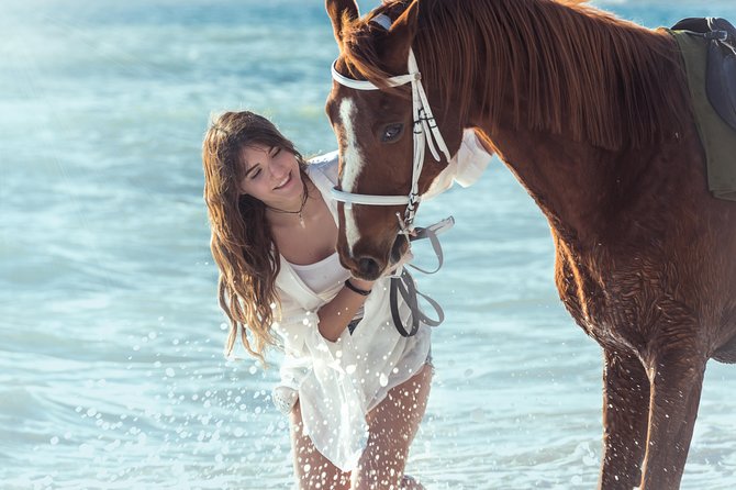 Santorini Horse Riding to Black Sandy Beach - What the $102.79 price includes