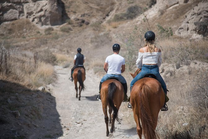 Santorini Horse Riding to Black Sandy Beach - Best times and best types of riders