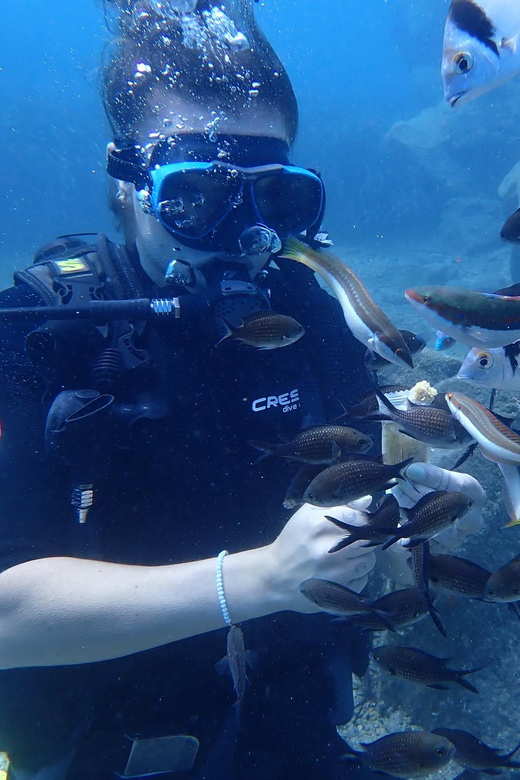 Santorini: Scuba Diving - Why a four-person limit matters