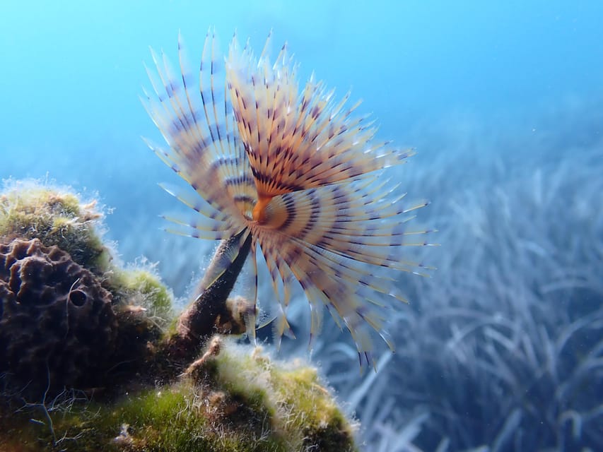 Santorini: Scuba Diving - Handling nerves, breathing, and the first few minutes