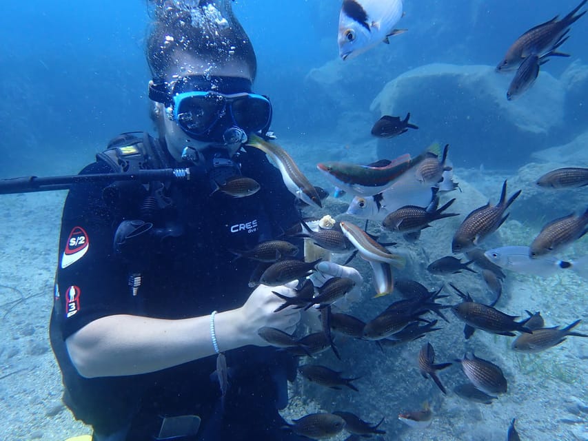 Santorini: Scuba Diving - Should you book this Santorini scuba experience?