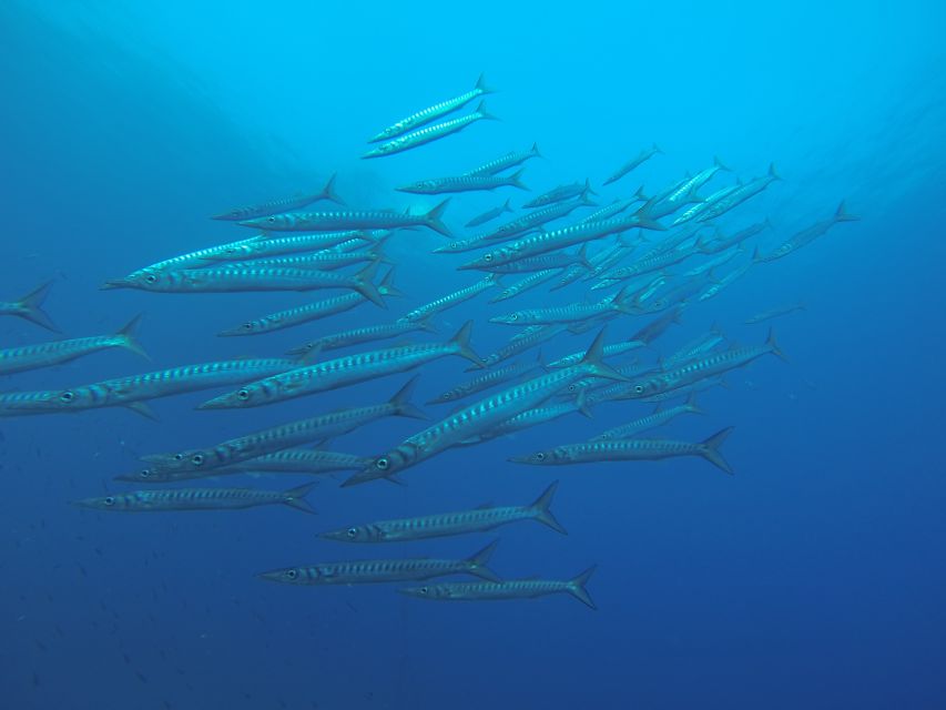Santorini: Scuba Diving Experience for Beginners - The instructors are the heart of the experience