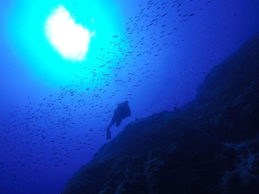 Santorini: Scuba Diving Experience for Beginners - Underwater photos and what to expect from the extras
