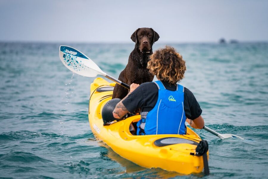 Santorini: Sea Caves Kayak Trip with Snorkeling and Picnic - Is $159 a fair price?