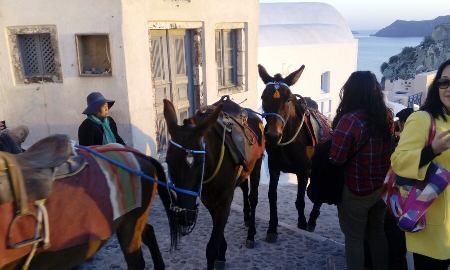 Santorini: Small-Group Highlights Tour of Venetian Castles - Wine tasting adds a taste of the volcanic island