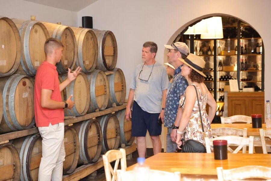 Santorini: Tour of Wineries with Wine Tasting & Food - Up to 10 wines, with enough variety for beginners