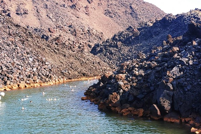 Santorini Volcanic Islands Cruise: Volcano, Hot Springs and Thirassia - What the $60.07 price includes