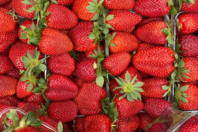Savor Athens Walk: A Culinary & Travel Writer’s Insider Food Tour - Why this food walk gives you a different Athens