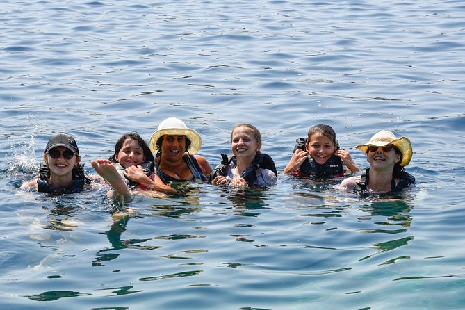 Sea Kayak in Kardamili - Is $106.08 a fair price?