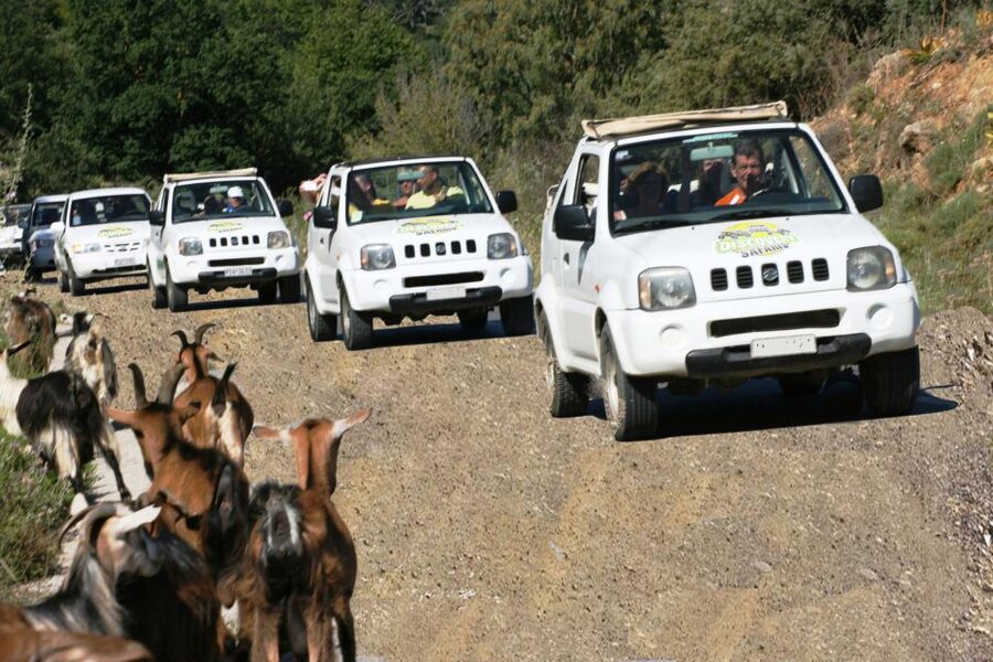 Self-Drive Jeep Safari to South Coast, Palm Beach & Canyons - Kourtaliotiko Gorge closes the scenic route