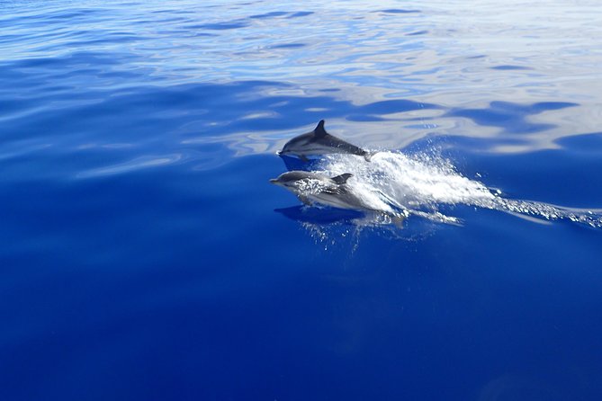 Semi-private Antiparos & Caves Blue Lagoon OR Rina Cave & Small Cyclades - Key points to know before sailing