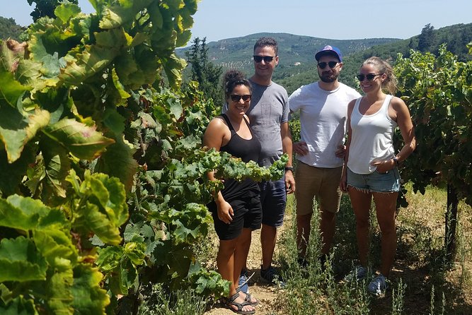 Semi-Private Wine Discovery Tour in Chania - Anoskeli Winery Olive Mill brings food into the picture