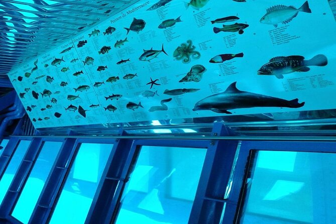 Semi-Submarine Tour from Agios Nikolaos - Who Will Enjoy This Most?