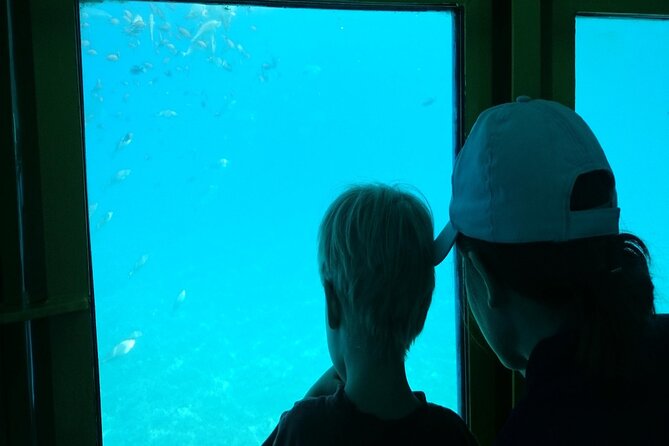 Semi-Submarine Tour from Agios Nikolaos - Should You Book the Agios Nikolaos Semi-Submarine?