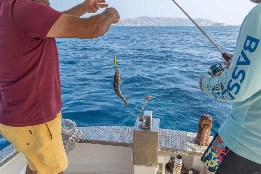 Shared Morning Cruise from Pollonia to Polyaigos - Should you book the Pollonia to Polyaigos cruise?