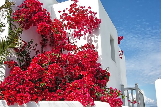 Sightseeing like a Mykonian(Small Group or Private) - Armenistis Lighthouse and the optional coastal view