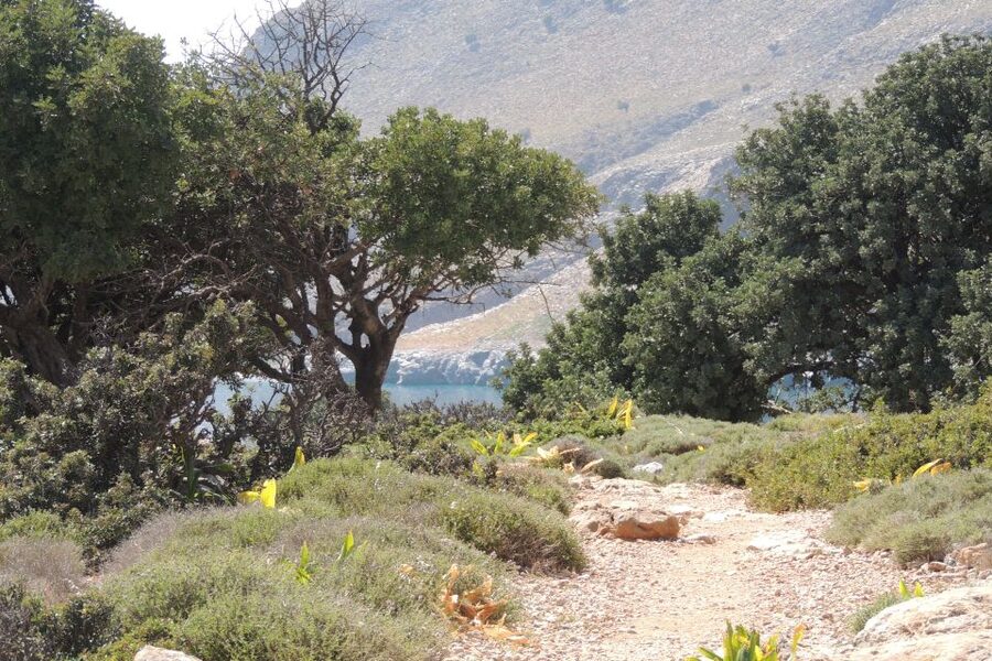 South Crete: Sarakinas Gorge Hike, Swim & Jeep Safari - A full day in southeast Crete, not just a jeep ride