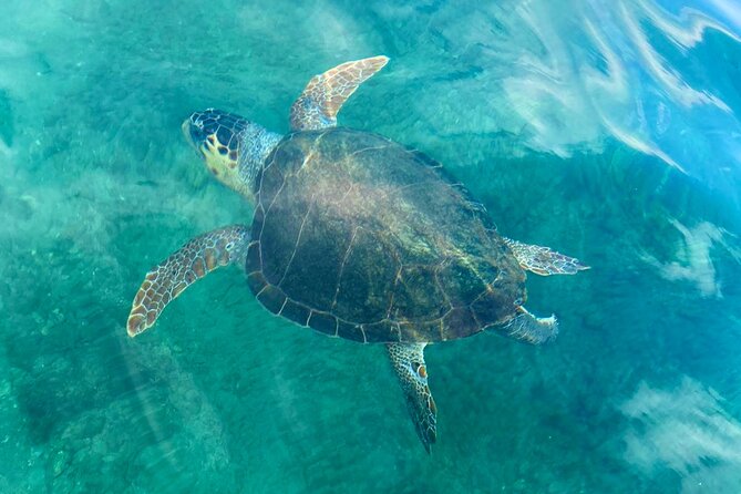 Stand-up Paddleboard Lazareta Experience Chania Crete (tour) - From New Chora beach to open water