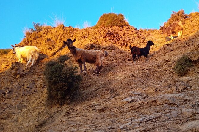Sunset Jeep Tour in Crete - Climbing through the Ebassas gorge