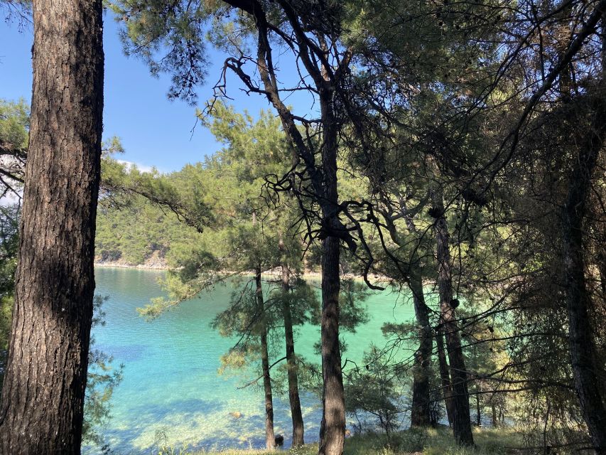 Thasos: Explore Secret Thassos - Should you book it?